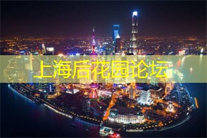 上海如诗如画，诗意流溢的美丽花坛